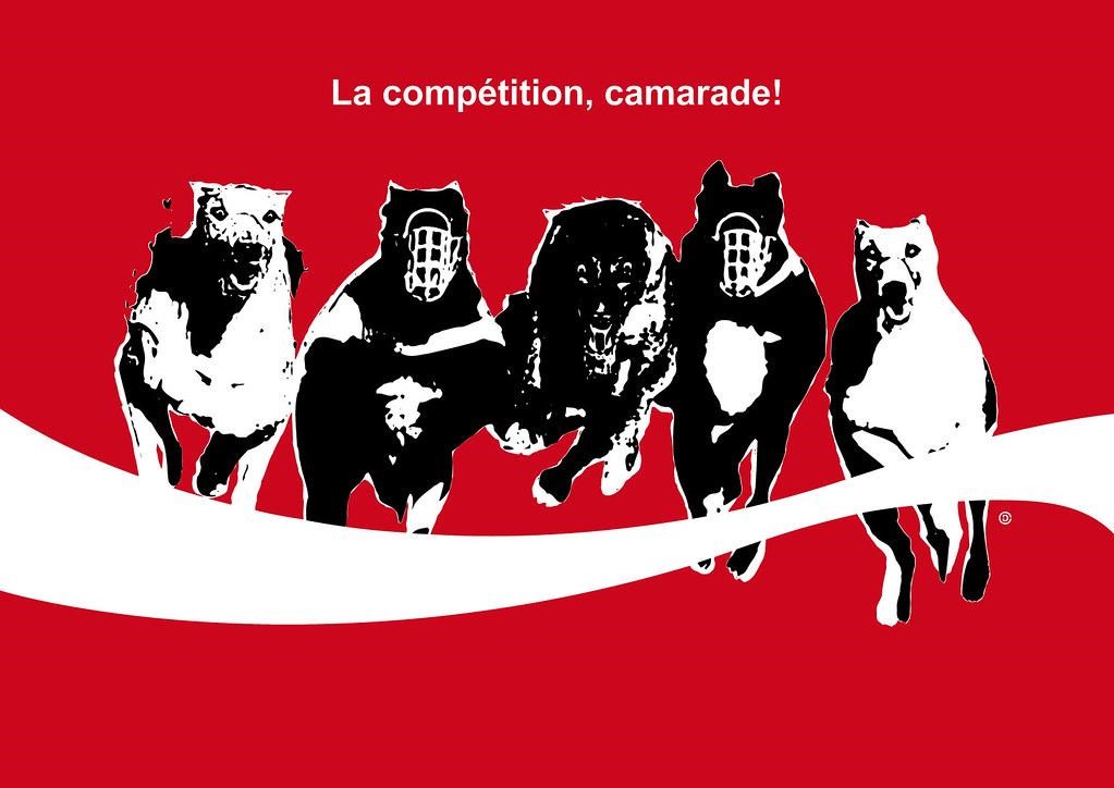 Competition Fall Your E-commerce Business