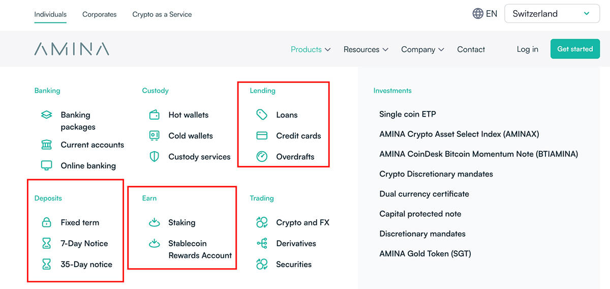 amina services