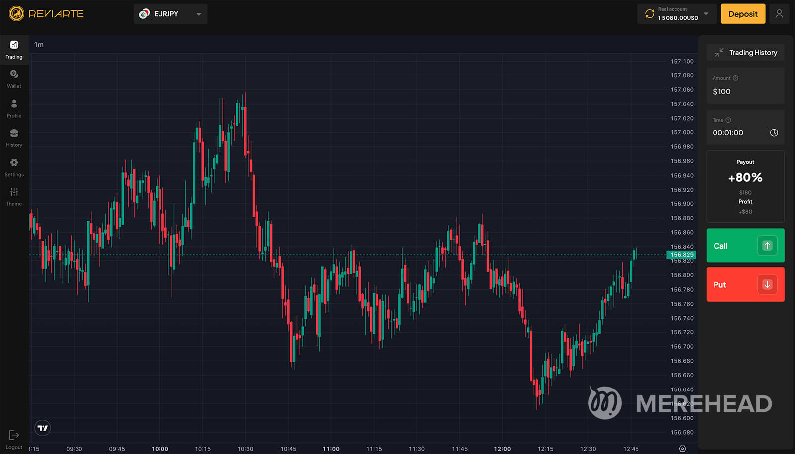 script Binary Options Merehead