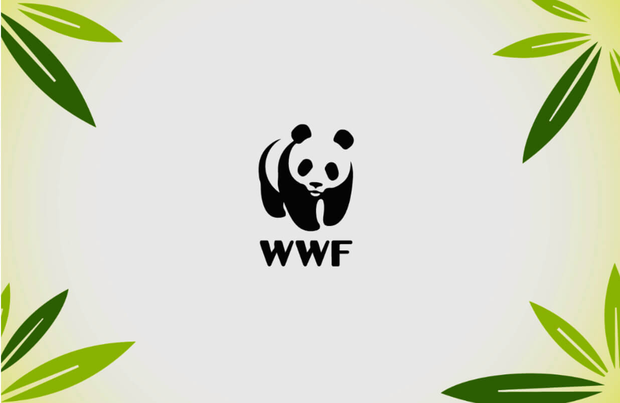 logo minimalism 2