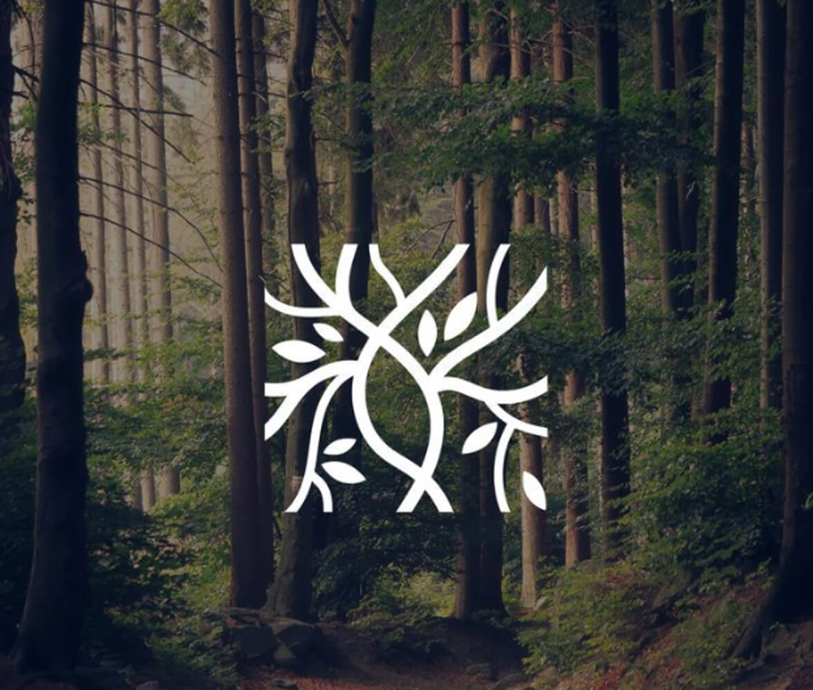 logo natural 1