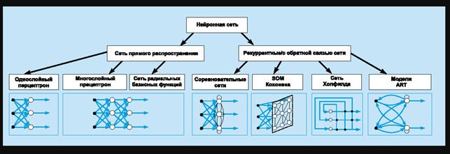Систематизація архітектур мереж прямого розповсюдження та рекурентних мереж